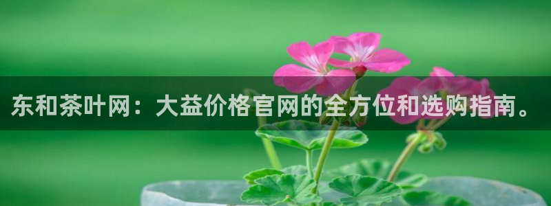 鸿运平台骗局揭秘