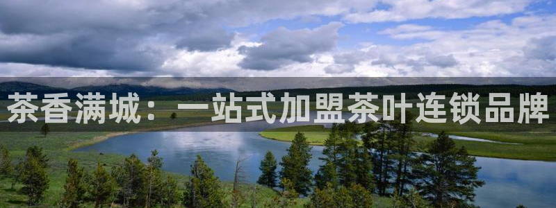 被鸿运平台骗
