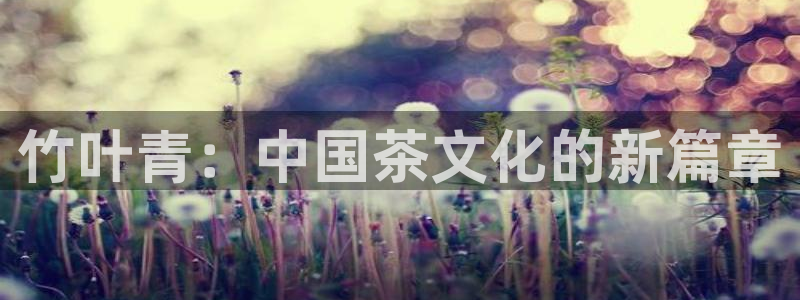 鸿运平台进入登录界面
