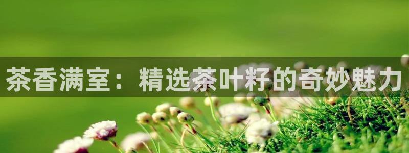 谢鸿运平台