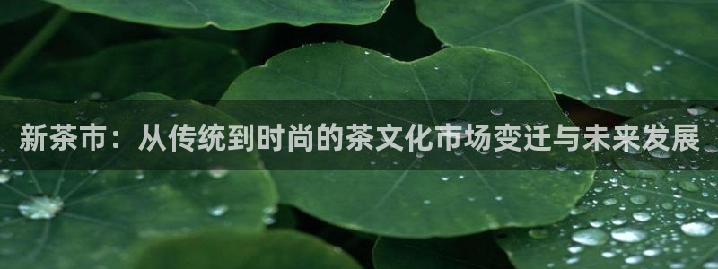 鸿运住宿团购平台