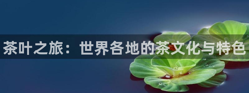 鸿运集团平台招聘要求