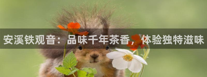澳门鸿运赌场平台