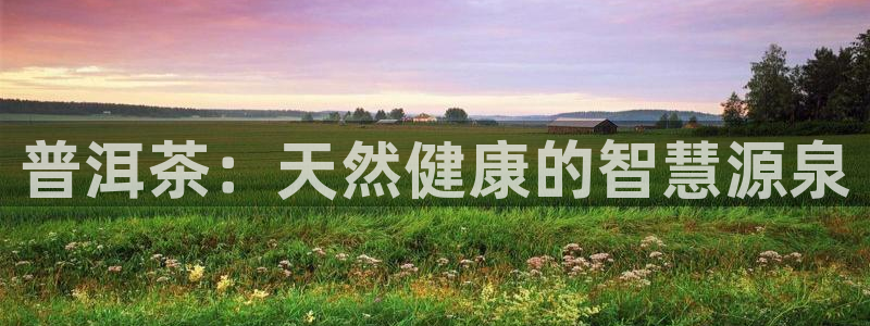 鸿运投资平台客服电话