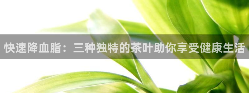 鸿运在线是什么平台