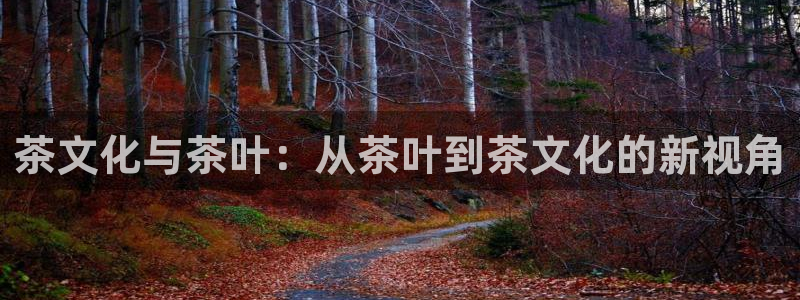 鸿运娱乐代理平台