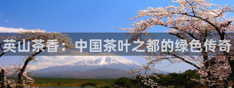 鸿运来彩票平台