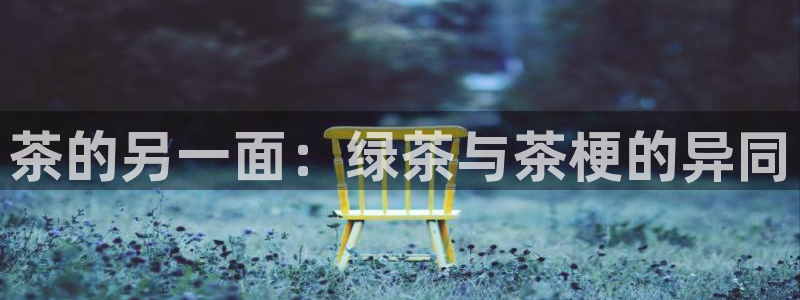 鸿运锦囊是什么平台