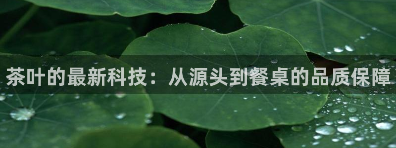 被鸿运平台骗