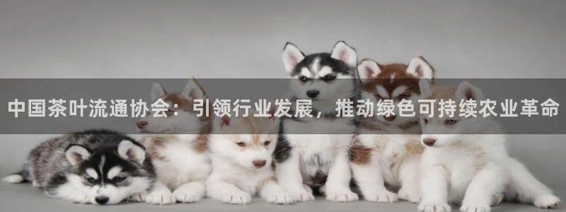 鸿运当头平台抽奖