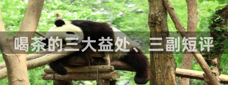 鸿运卡盟平台