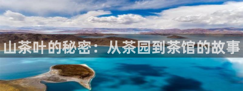 鸿运投资平台