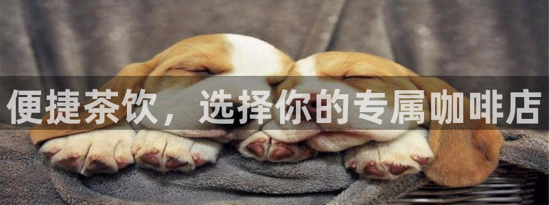 鸿运平台注册流程