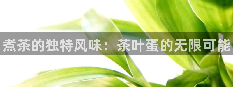 鸿运互娱平台