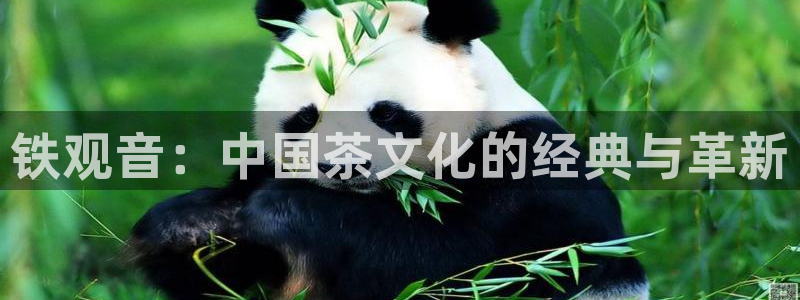 鸿运平台代理鸿运