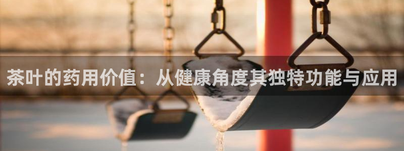 鸿运彩票平台的网址
