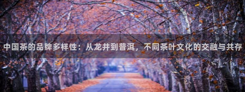 大发鸿运平台网址